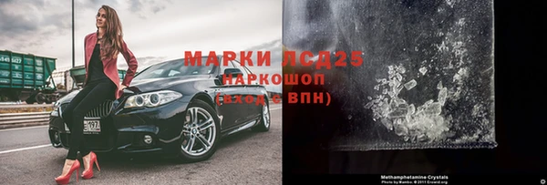 крисы Кодинск