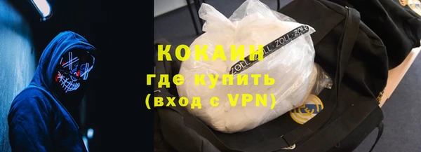 крисы Кодинск