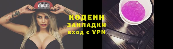 крисы Кодинск