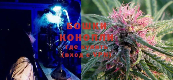 крисы Кодинск