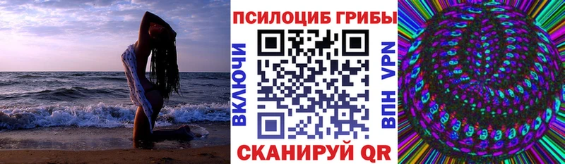 Купить закладки  Петровск-Забайкальский  Псилоцибиновые грибы ЛСД 