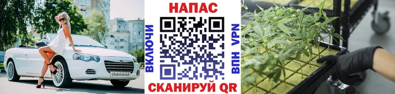 МАРИХУАНА марихуана Купить закладки Петровск-Забайкальский